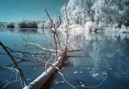 Winter Scene - lake, forest, nature, other