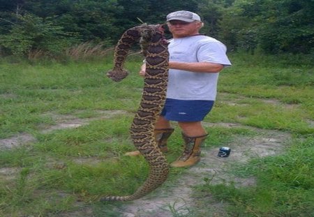 Rattle Snake killed in coleman, texas - usmc, marine corps, marines, recon