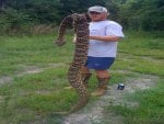 Rattle Snake killed in coleman, texas