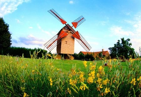 Windmill and wildflowers - meadow, wind, beautiful, flowers, wildflowers, mill, windmill, grass, sky, nice, clouds, lovely, field, nature, green