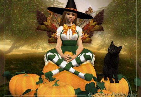 Halloween_Fairy - hat, girl, pumpkins, cat