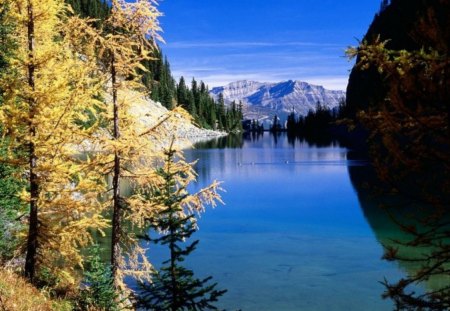 Lake_Agnes - water, mountains, trees, light