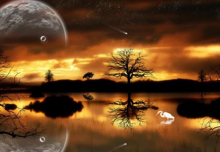 Moorglade_Wallpaper - moon, trees, light, water