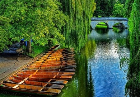 Canoes in calm waters - lakeshore, nice, riverbank, peaceful, colorful, greenery, reflection, calmness, river, green, tree, bridge, lake, boats, park, shore, lovely, nature, wilow, pier, forest, beautiful, canoe