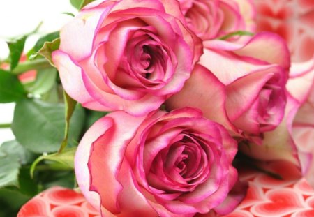 Pink Flowers - roses, love, bouquet, pink