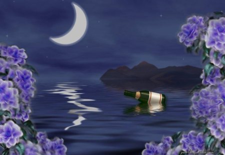 sending_the_message - moon, water, bottle, flowers