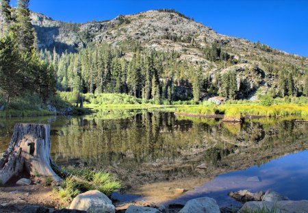 Lily Lake - canon, beauty, california, water, sierranevada, mountains, lakes, reflections, reflection, hdr, lake, landscape, mountain, nature, forest, beautiful, scenery