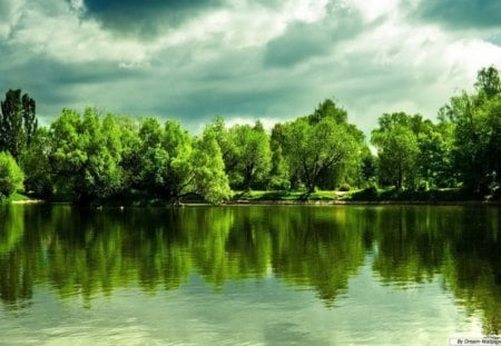 trees reflecting in water - water, trees, reflection, clouds