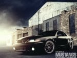 2004 Ford Mustang Cobra