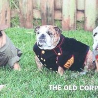 The Old Corps