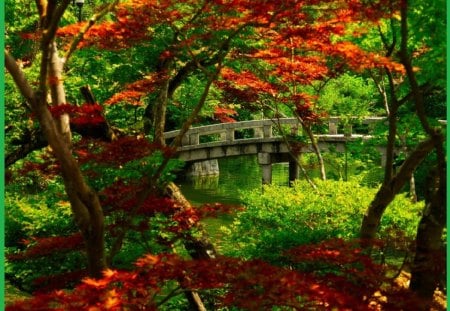 japanese garden - nice, lake, trees, japanese, nature, japanes, green, lamp, shrubs, bridge, garden, kyoto, grass