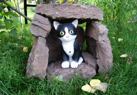 I made a cave to my cat.... - stone, plastic, cat, cave, grass