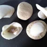 Sea Shells