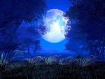 amazing_moon