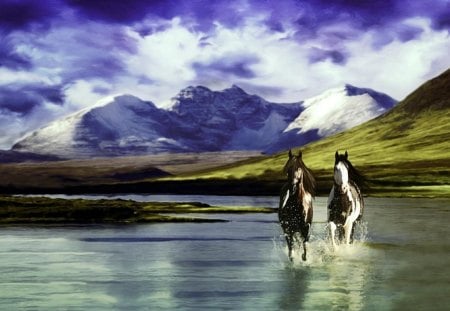 Born_free - horses, water, mountains, clouds