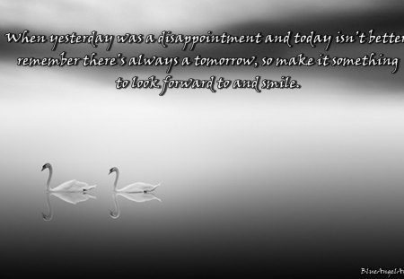 Remember there`s always a Tomorrow - swans, words, tomorrow, remember