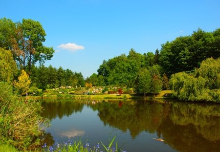 Garden - dendrology, garden, flower, przelewice