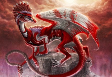 Red Dragon - dragon, fantasy, cg, red