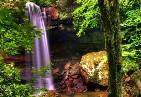 Forest fall - nice, falling, trees, peaceful, greenery, water, lovely, calm, nature, fall, forest, weaterfall, beautiful, green, stones