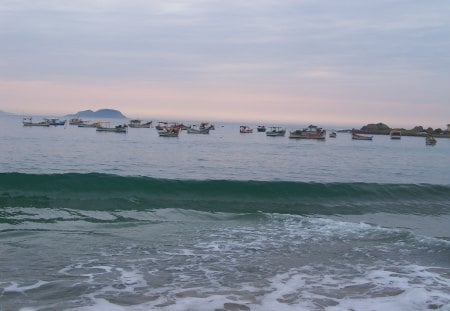 Armacao - florianopolis, brasil, natureza, praia