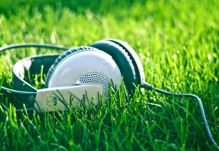 HEADPHONES - photography, headphones, music, grass, outdoors