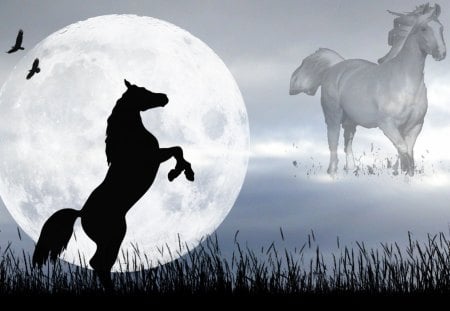 Ghost Horse - horses, moon, animals, black horse, fantasy, white horse, ghost horse