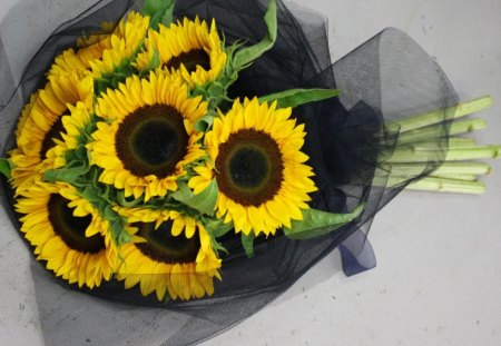 Sunny LOVE♥ - sunny, yellow, forever, brown, special, fashion, sunshine, entertainment, love, bouquet, black, magnificent, sunflower, arrangement