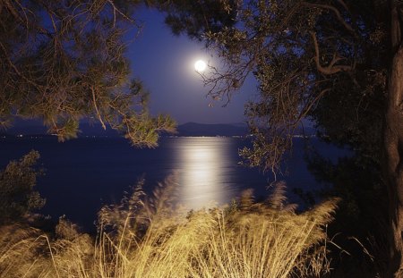 Full Moon - moon, full, lake, night