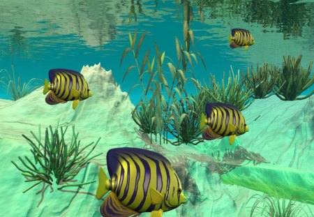 Outstanding_3D_Fish_Tank - abstract, plants, water, fish