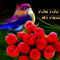 For you my friend