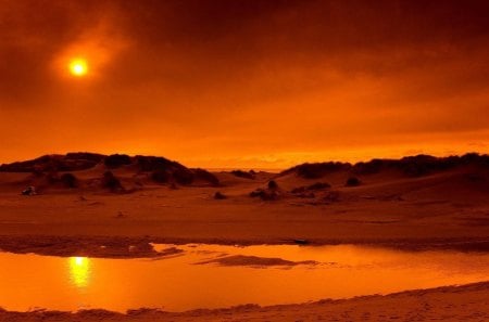 Autumn Desert - nighttime, desert, autumn, night, autumn desert