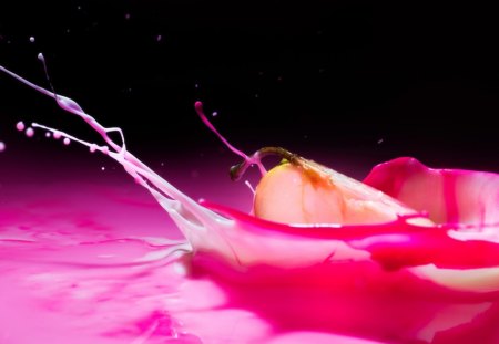 PAINT SPLASH - photography, fushia, fruit, paint, abstract, pink, 3d, apple, splash