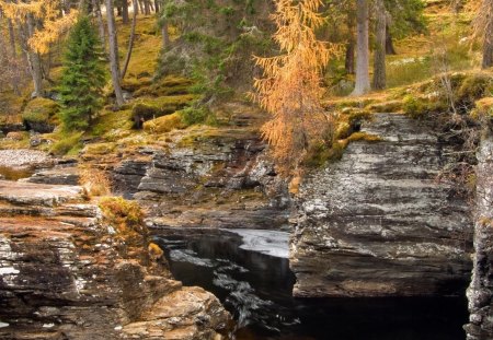 river gorge - river, forest, gorge, rocks