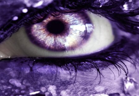 Diamond Eyes - diamond, lashes, purple, eye