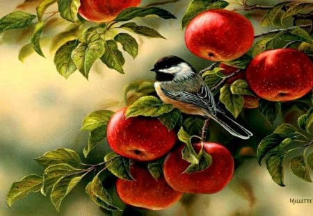 bird sitting on a branch of a apple tree