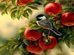 bird sitting on a branch of a apple tree