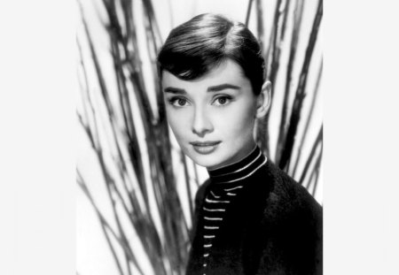 Audrey Hepburn - famous, beauty, actress, lovely