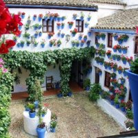 Beautiful patio