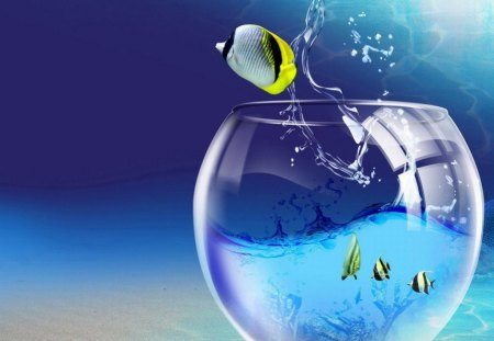 FISH OUT OF WATER. - pretty, cute, fish, bowl