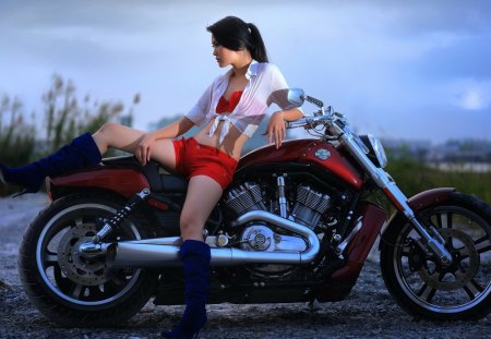 Harley Davidson - girl, bike, motorcycle, asian, harley davidson