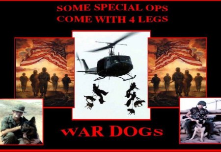 War Dogs