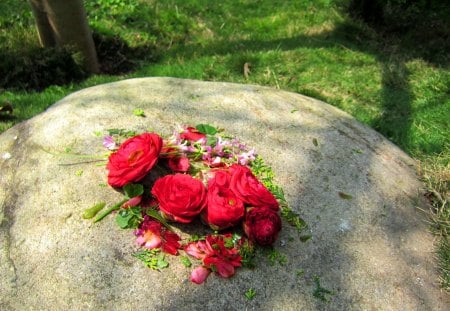 Fallen flowers - red, rock, fallen flowers, grass, pink