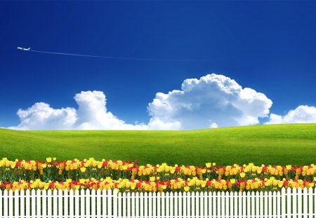 Tulips forever - fence, clouds, tulips, field, flowers, grass, spring