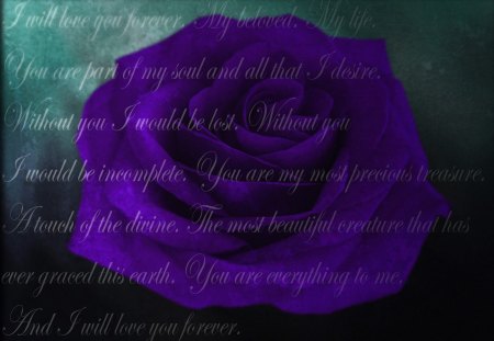 PURPLE wordsâ™¥ - love, always, declaration, rose, violet, nature, purple, precious, letter, flowers, words, lavender