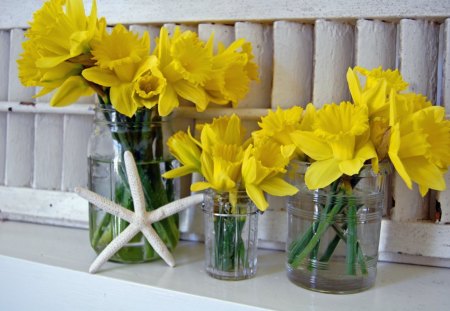 Spring Yellow♥ - warmth, yellow, forever, fashion, spring, entertainment, daffodils, bouquets, precious, starfish, fresh