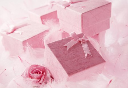 Gifts with Rose - rose, with, pink, gifts