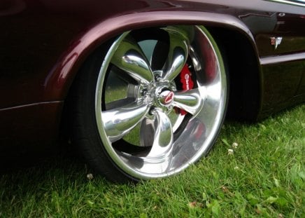 Tyre - low, car, tyre, rim, grass