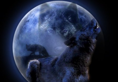 Bark At The Moon - moon, wolf, bark, howling wolf, howl, howling