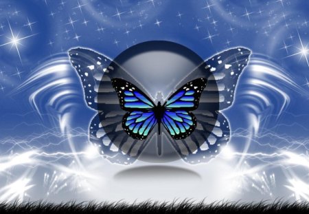 Butterfly_Wallpaper - wings, butterfly, abstract, blue