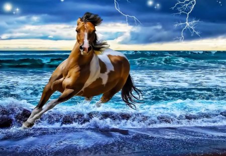 fantasy horse in sea and sky